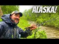 Finding Trout in BLOWOUT Conditions (Fly Fishing Alaska)