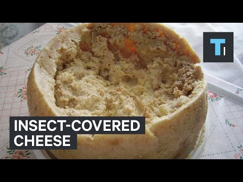 A cheese scientist tells us the cheese he would never eat A cheese scientist tells us the cheese he would never eat