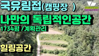 1355번)청운면 마을끝자락 국유림접 나만의 독립적인공간 캠핑장/ 동호인토지 (양평부동산급매물)(양평토지매매)