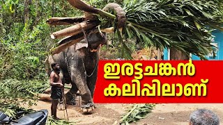 ഇരട്ടചങ്കൻ കലിപ്പിലാണ് | Kiran Narayankutty | Kattakampal Pooram 2024 | #kirannarayanankutty #aana