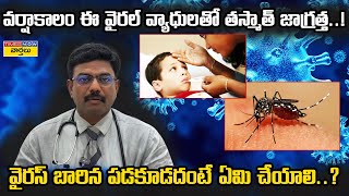 వర్షాకాలం ఈ వైరల్ వ్యాధులతో తస్మాత్ జాగ్రత్త || Rainy Season Diseases and prevention