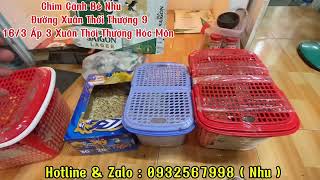 28/12/0224 ngực Hồng non , nhồng , cút thái , lovebirds non , cok , cu , khướu , ………