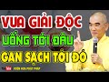 Loại NƯỚC Là VUA GIẢI ĐỘC GAN, Uống Tới Đâu Gan Sạch Tới Đó, Biết Mà Uống Sớm Trường Thọ 120 Tuổi