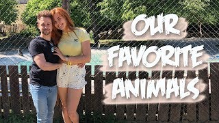 Zoo Košice, our favorite animals, so many cute babies, summer day trip | Couple Vlog #101