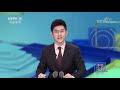 《中国三农报道》 20201016 cctv农业