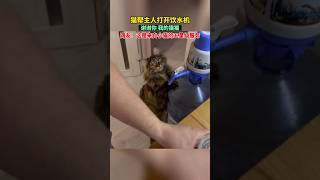 猫帮主人打开饮水机，来自猫猫的五星级服务！ #萌宠 #动物成精 @猫咪#搞笑