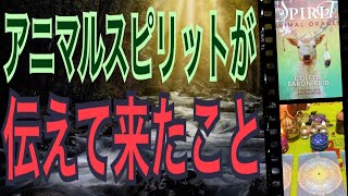 アニマルスピリットが伝えて来たこと‼️怖いほど当たる✨オラクルカードリーディング✨スピリチュアルカードリーディング✨占い✨３択✨