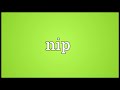 nip meaning