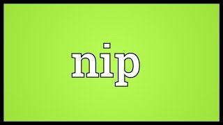 Nip Meaning