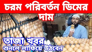 17/12/24; বর্তমান বাজারে ডিমের দাম কত | ajker dimer bazar। দেশি মুরগির ডিম ও বয়লার মুরগির ডিমের দাম