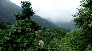 Farm house Land for sale. 8 bigha @ 7 Lakh per Bigha in Batoli, Dehradun 9971118295