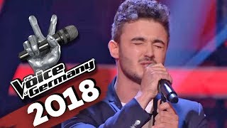 Stromae - Papaoutai (Alexandre Heitz) | The Voice of Germany | Blind Auditions