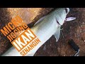 Tepi Laut Main Micro Jigging Ikan Senangin 岸边微铁jig马友鱼  Ryu Chiang 关丹烂钓俱乐部