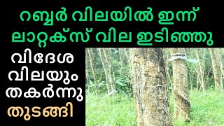 ഇന്നത്തെ റബറിന്റെ വില നിലവാരം || Manojnediyackal rubber tapping