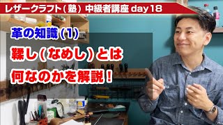 【レザークラフト】中級者講座day18 鞣し(なめし)とは何なのかを知っておこう【タンニン鞣しとクロム鞣しの違い】