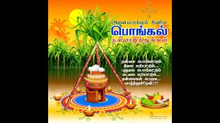 Happy Pongal Nanbargalae, Pongal anaiku Sirapana Sambavam