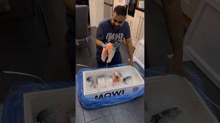 വൈൽഡ് സാൽമൺ പെട്ടി പൊട്ടിച്ചപ്പോൾ Unboxing Salmon #shortsfeed #shorts