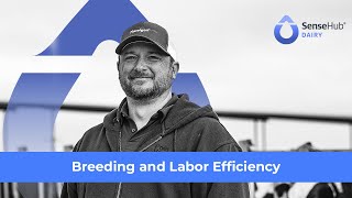 Prairie View Dairy: Breeding and Labor Efficiency - SenseHub Dairy