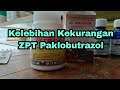 Kelebihan Kekurangan ZPT Paklobutrazol