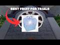 BEST FUIT FOR TRIALS 