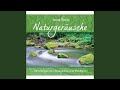 Naturgeräusche, Vol. 1