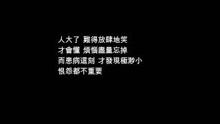 陳維諾  我們都是這樣長大的 (電視劇「家族榮耀」片尾曲)