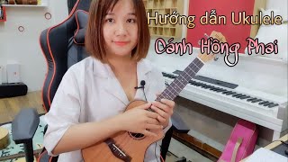 [Hướng dẫn Ukulele]  CÁNH HỒNG PHAI