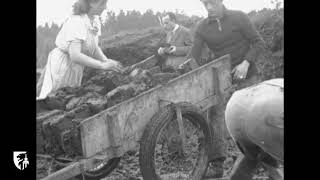 L'extraction de la tourbe à Petites-Tailles (1949) - Enquête du Musée de la Vie wallonne