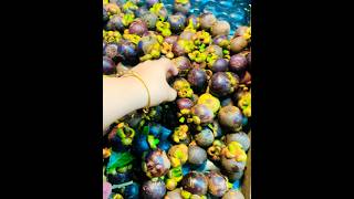 Mangosteen നമ്മടെ മുത്താണ്😘😋#mangosteen#fruit#shorts#malaysia