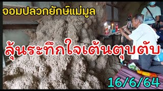 ขอโชคพญาจอมปลวกยักษ์แม่มูล16/6/64