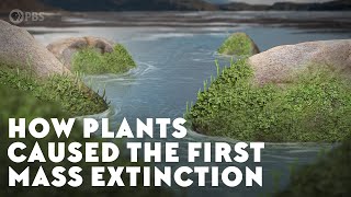 How Plants Caused the First Mass Extinction