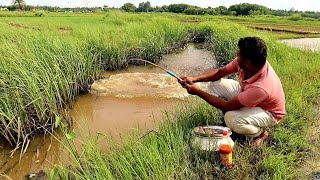 Fishing Video🎣 || Skilled boy fishing with a hook in the village canal || Best hook fishing