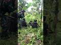 Patroli Hutan TNI💥🔥 Menjaga Keutuhan NKRI🇮🇩#tniindonesia#kopaska#kopasgat#viral#kopasus