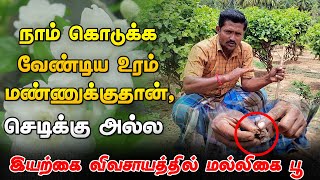 🌿ராமேஸ்வரம் மல்லிகை🌷 செடிக்கு இவ்வளவு மவுசா, அதில் என்ன அப்படி சிறப்பு🤯 | Smart Vivasayi