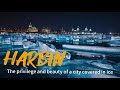 HARBIN - The privilege and beauty of a city covered in ice