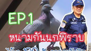 หนามกันนกพิราบเกาะ  DIY ราคาหลักสิบ