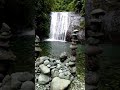 The CURTAIN WATERFALLS of Pula Banaue, Ifugao.(1)