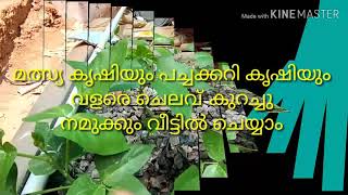 വളരെ ചെലവ് കുറച്ചു നിങ്ങൾക്ക് മത്സ്യവും പച്ചക്കറിയും കൃഷി ചെയ്യാം.