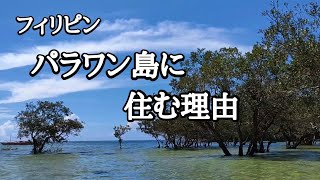 パラワン島に住む理由　フィリピン・パラワン島から