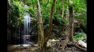 Ubbalamadugu Waterfall Trek After-Movie