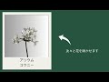 2025年1月18日（土）発送花定期便のお花たち