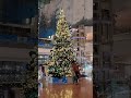 羽田空港第二ターミナルのクリスマスツリー　 christmas