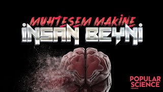 Muhteşem Makine: İnsan Beyni | Popular Science Türkiye