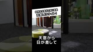 これは天窓ではありません！！【太陽光波長を再現した】天窓のようなLED照明 嘘だと思いますが、この光に当たっていると太陽光を浴びている錯覚を起こします　屋内に太陽光を　EWINDOW #shorts