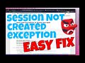 Selenium fix: SessionNotCreated 