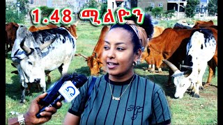 TDF #19 - ሓገዝ ኣብዑርን መድሓኒትን ንጀጋኑ ጉዱኣት ሰራዊት ትግራይ - 1.48 ሚልዮን ብር ካብ ማሕበር ምትሕግጋዝ መቐለ - ለንደን