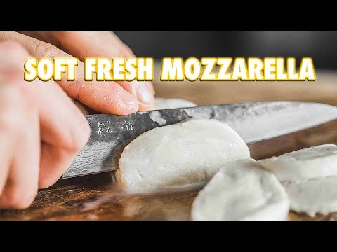 How to make fresh mozzarella