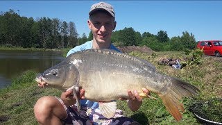 Piękny KARP oraz mnóstwo KARASI na METODĘ!!! Majowy FEEDER!!