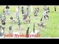 zimbabwe handmade african shona sculpture stone art collection by farai nyakanyanza art center