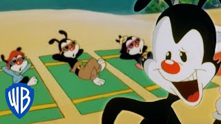 Animaniacs | Holiday on a Pirate Island | WB Kids